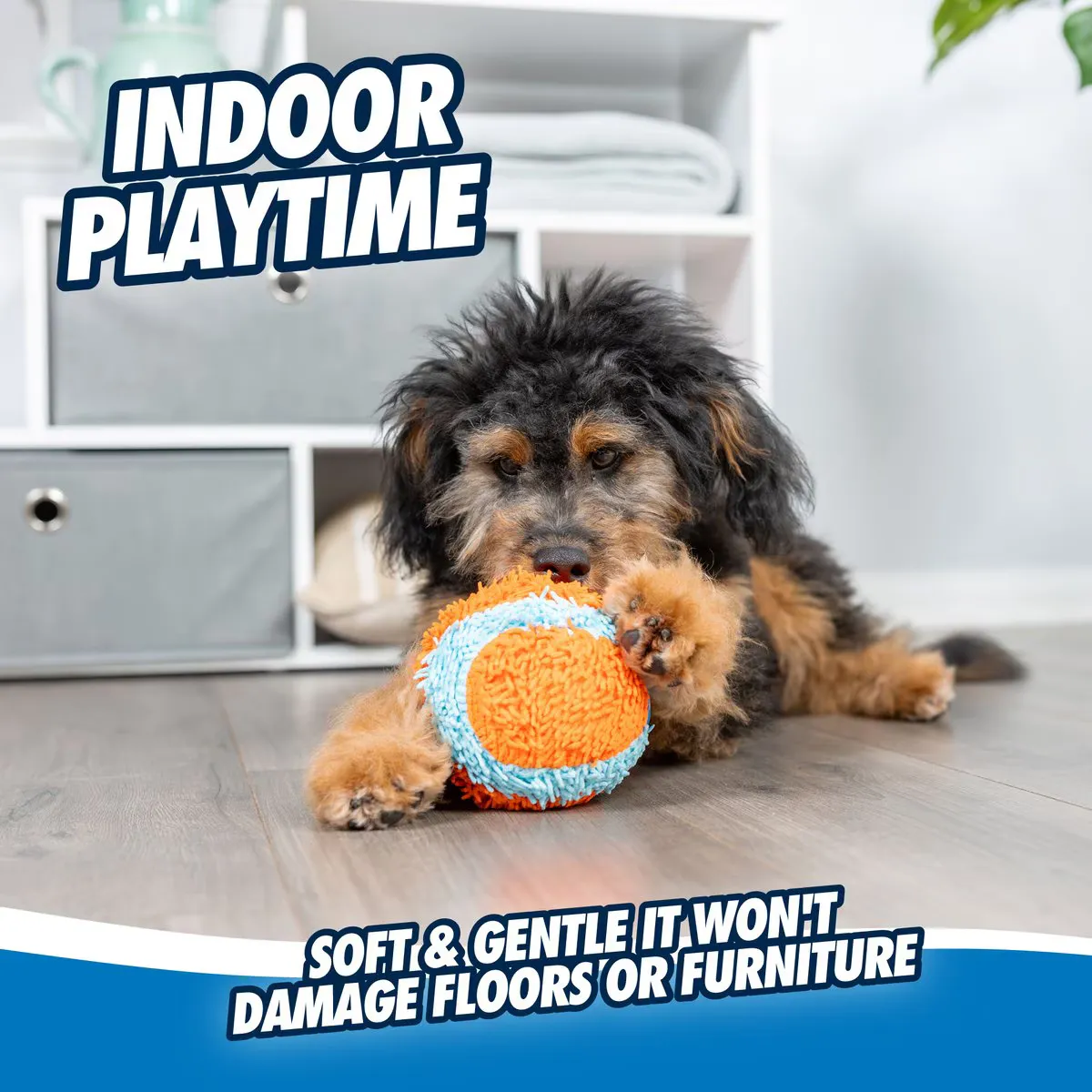 Indoor Ball