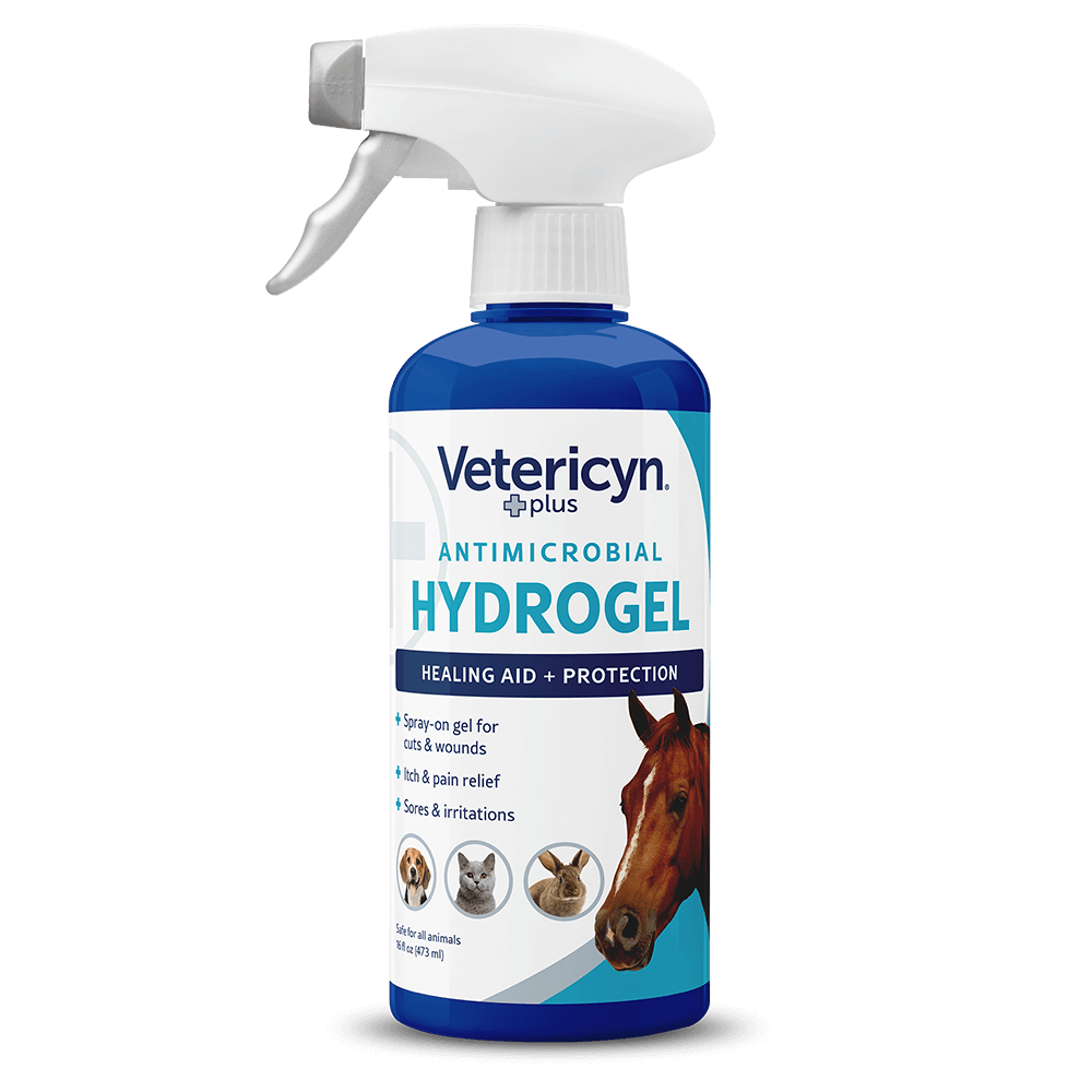 Hydrogel Spray