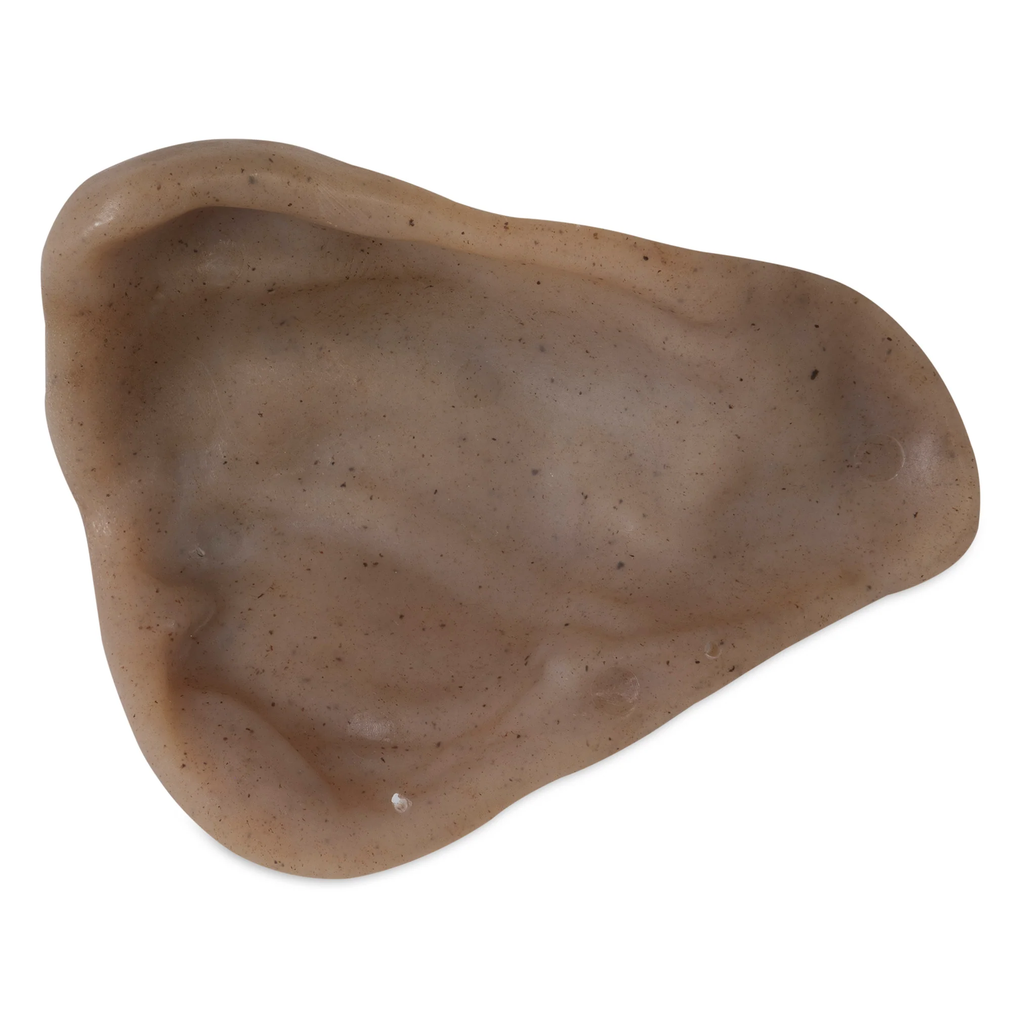 Bacon Pig Ear