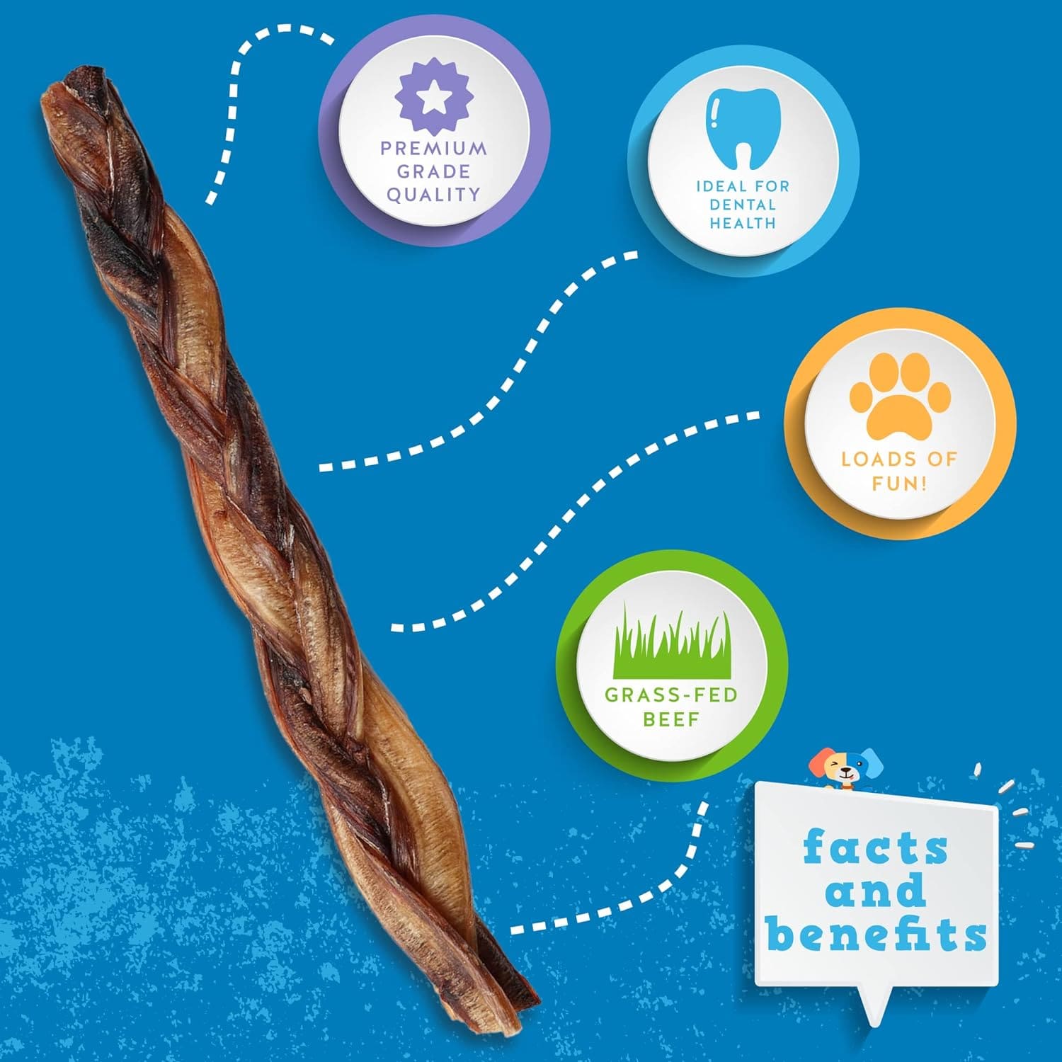 Bully Stick - Braided (Banded)