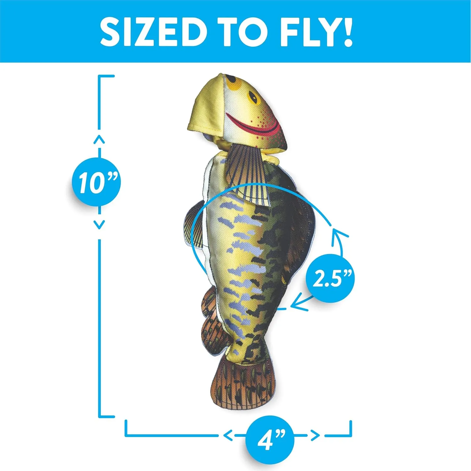 Fly & Fetch Fish