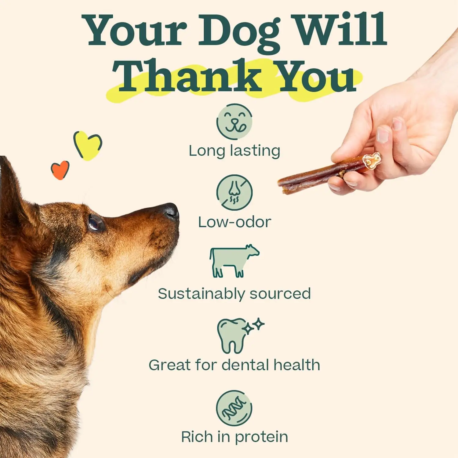 BullySafe Collagen Chew - 5/pack