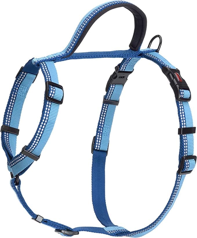 HALTI Walking Harness (chest 22" - 30") - Blue