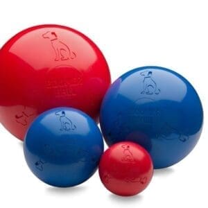 Boomer Ball - Large