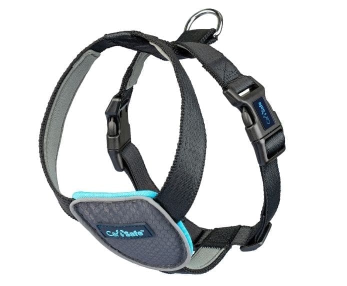 CarSafe Dog Travel Harness - Black