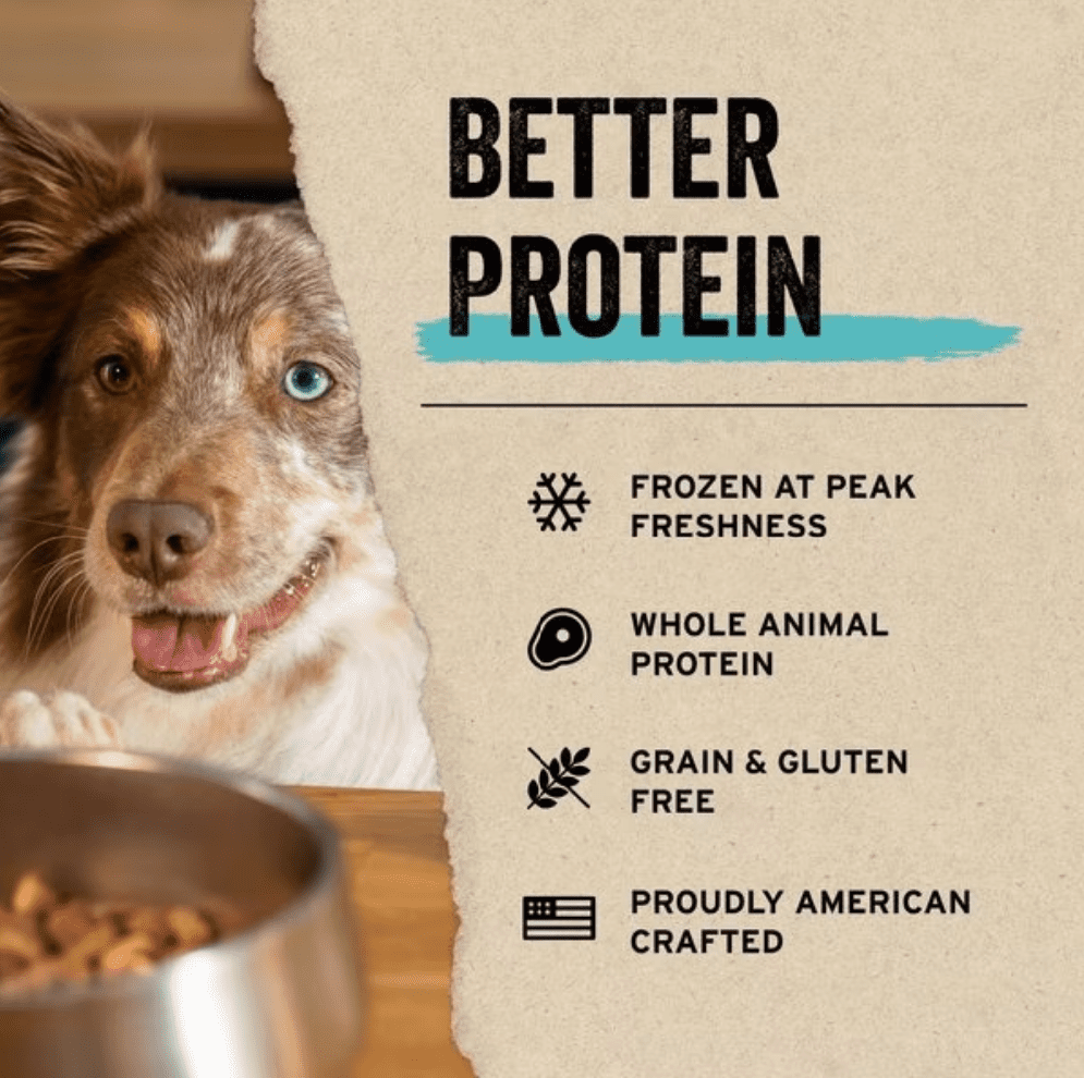 Freeze Dried Protein Mix-In Duck Recipe Mini Nibs Topper