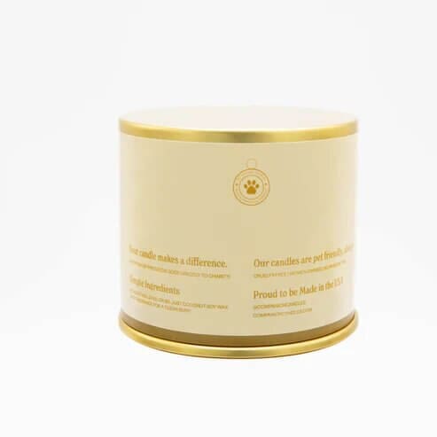 "You Got This!" Mini Candle - Citrus/Tropical Fruits