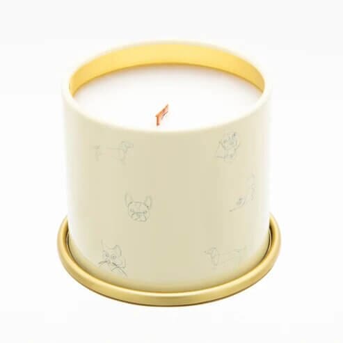 "You Got This!" Mini Candle - Citrus/Tropical Fruits