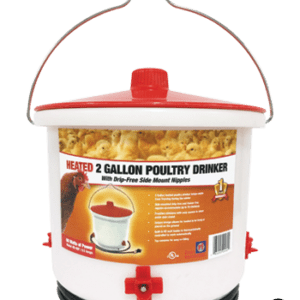 Heated Poultry Drinker