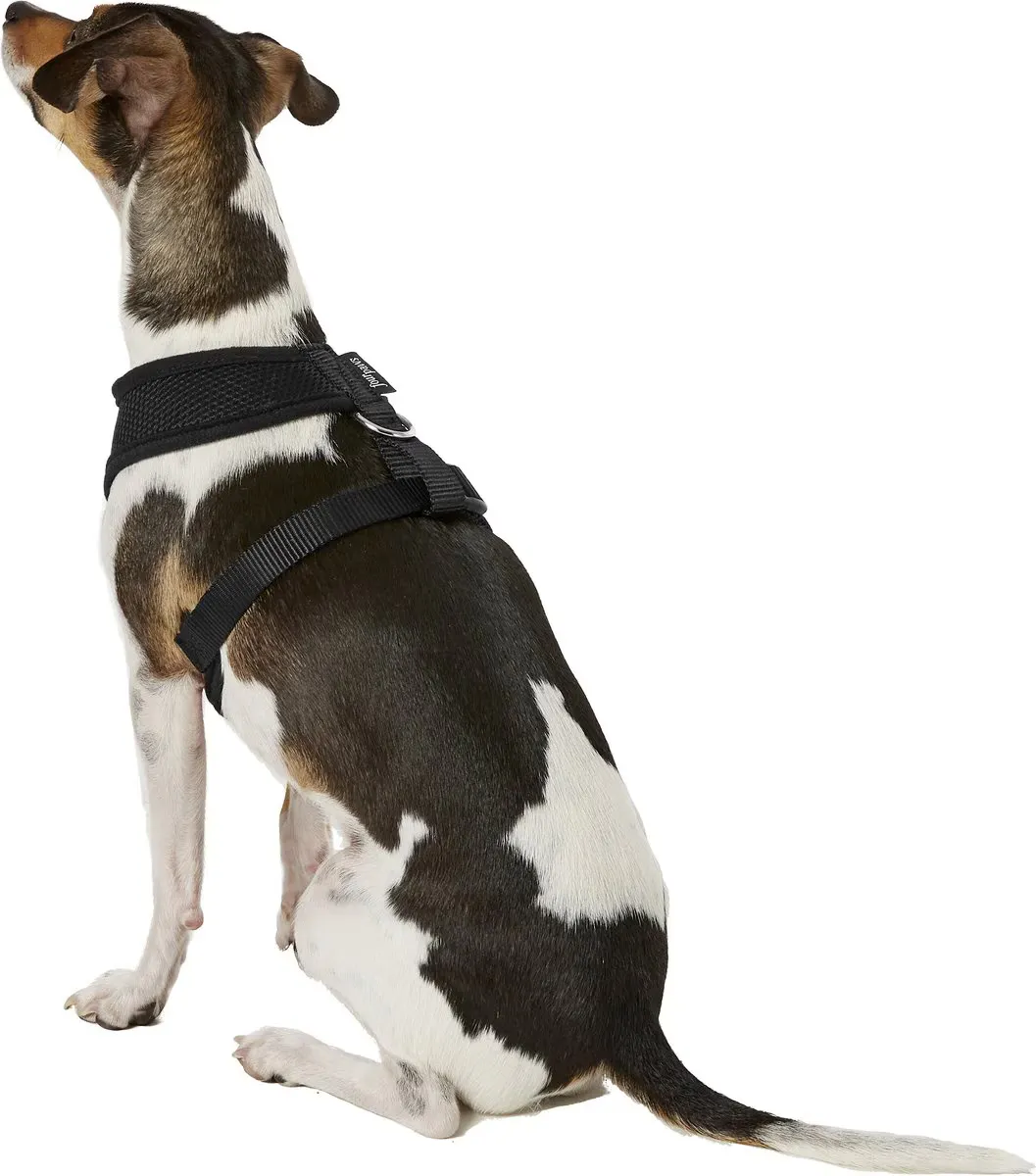 Comfort Control Harness - Black