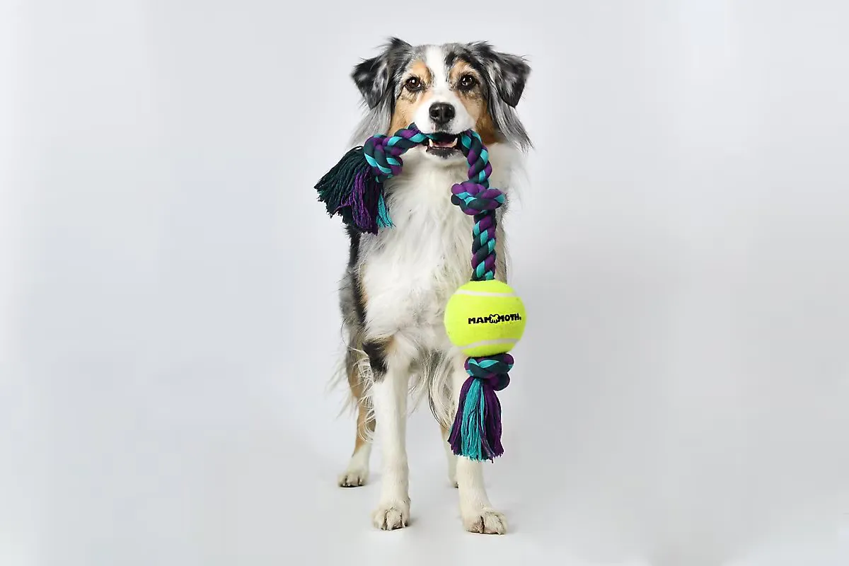 Flossy Chew 3 Knot Tug w/ 3" Tennis Ball - Medium
