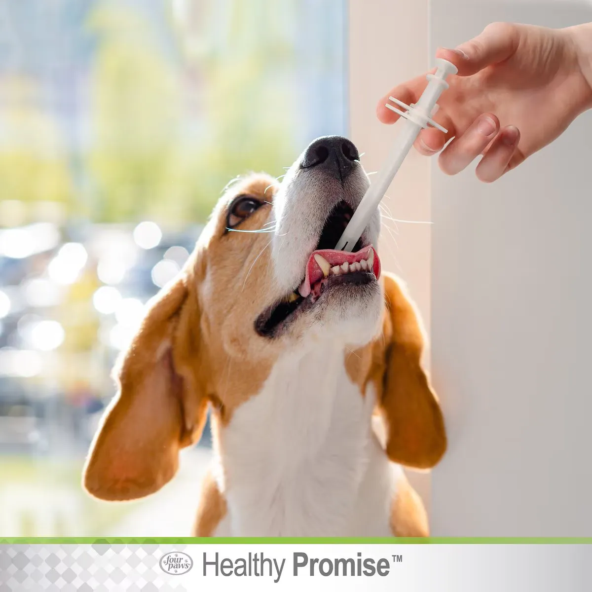 Healthy Promise Quick & Easy Pill Dispenser for Puppies/Small Animals