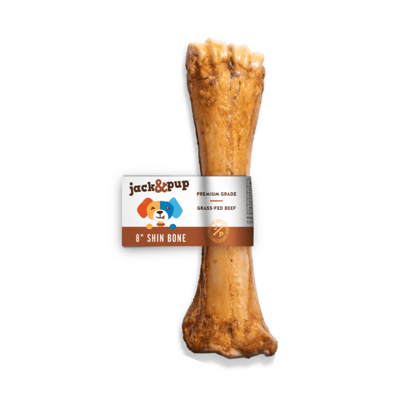 Shin Bone (Banded)